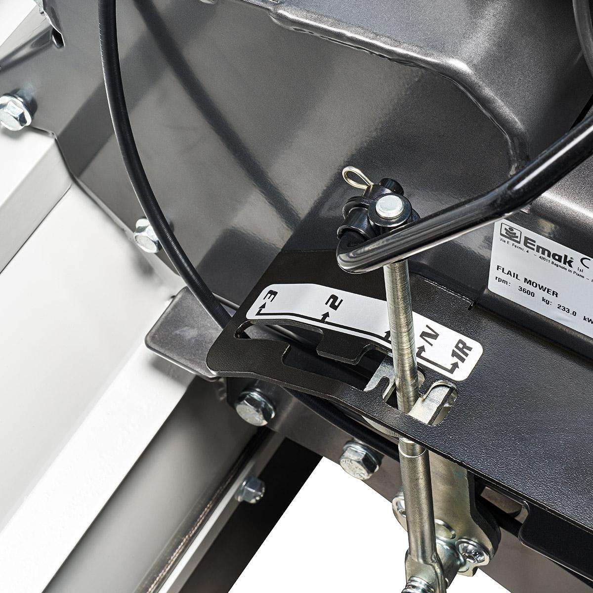 Trinciatutto professionali NTS 80 TR_3 | Nibbi